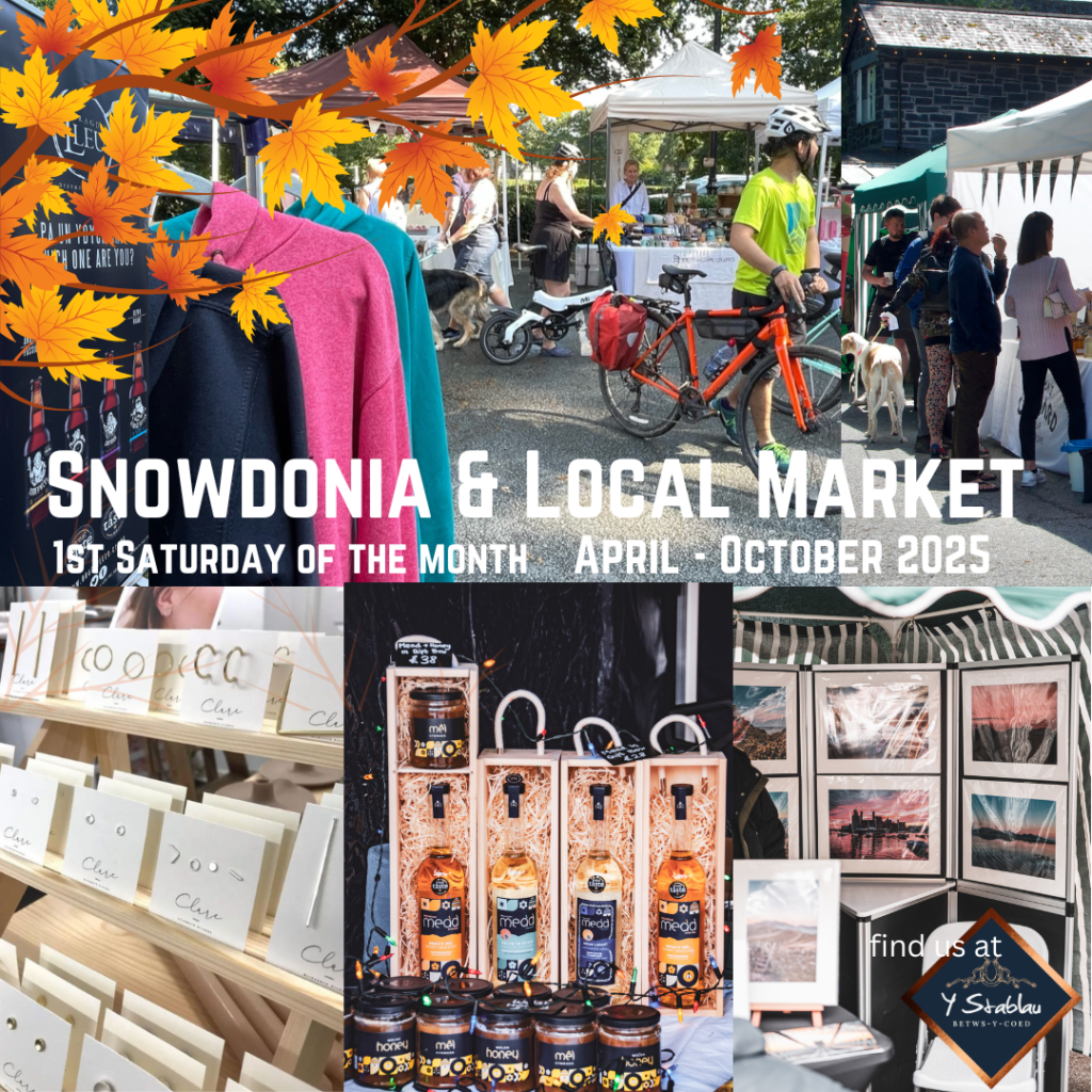 Snowdonia & Local Market